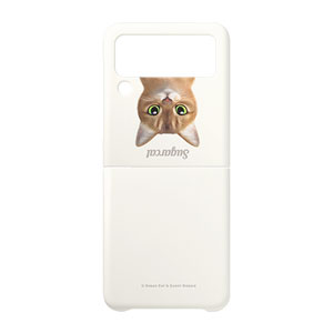 Nene the Abyssinian Simple Hard Case for ZFLIP series