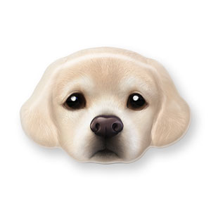 Whaum Golden Retriever Face Shape Epoxy Tok