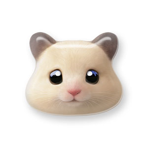 Pudding the Hamster Face Shape Epoxy Tok