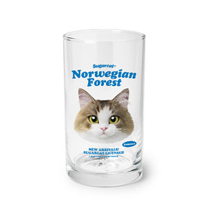 Summer the Norwegian Froest TypeFace Cool Glass