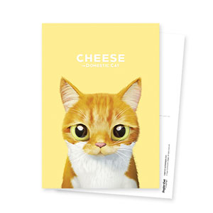 Cheese Postcard