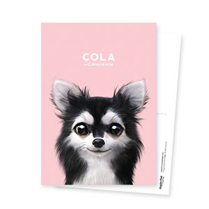 Cola the Chihuahua Postcard