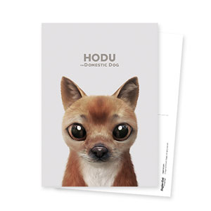 Hodu Postcard