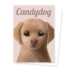 Cocoa the Labrador Retriever Magazine Postcard