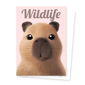 Capybara the Capy Magazine Postcard