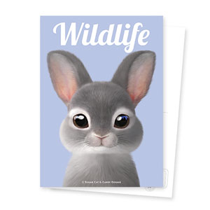Chelsey the Rabbit Magazine Postcard