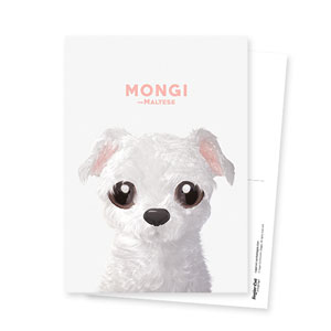 Mongi the Maltese Postcard