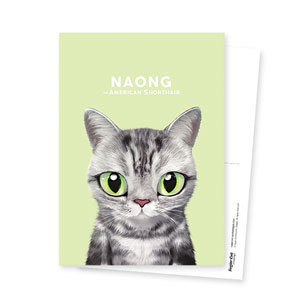 Naong Postcard