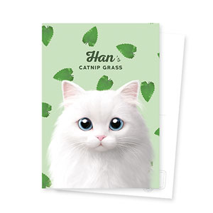 Han&#039;s Catnip Postcard