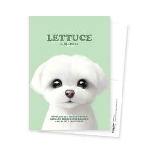 Lettuce the Meltese Retro Postcard
