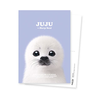 Juju the Harp Seal Retro Postcard