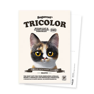 Mayo the Tricolor cat New Retro Postcard