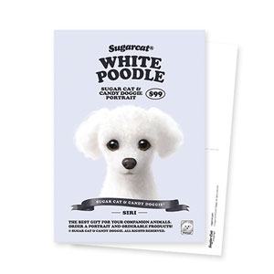 Siri the White Poodle New Retro Postcard