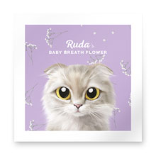 Ruda’s Baby Breath Flower Art Print