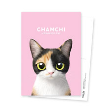 Chamchi Postcard