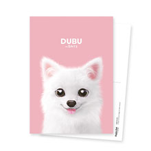 Dubu the Spitz Postcard
