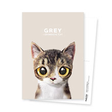 Grey Postcard