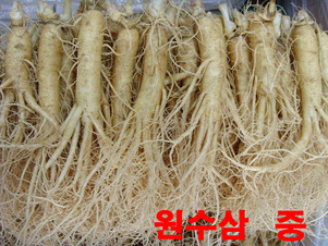 원수삼 중 750g 1채 (10-11뿌리)