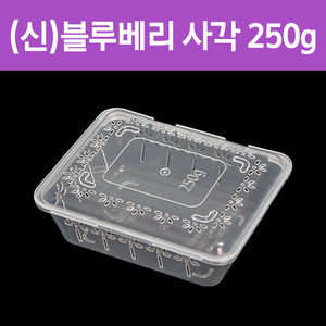 (신)블루베리 용기사각250g(낱개)