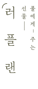 러플랜