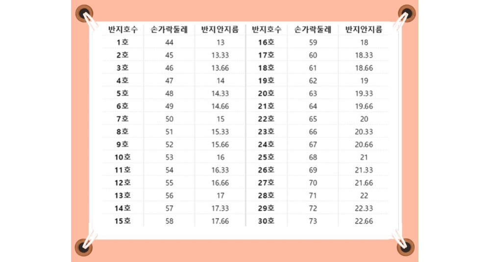 악세사리 상품 이미지-S84L21