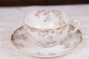 하빌랜드 리모지 공장 데코 컵&amp;소서 Haviland Limoges Factory Decorated Cup and Saucer dirca 1888 - 1896