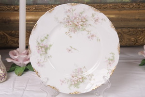 하빌랜드 리모지 샐러드 플레이트 Haviland Limoges Salad Plate circa 1903