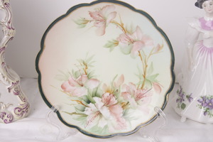 핸드페인트 핸드페인트 플레이트 Limoges Parlor Painted 19.4 cm Plate circa 1900