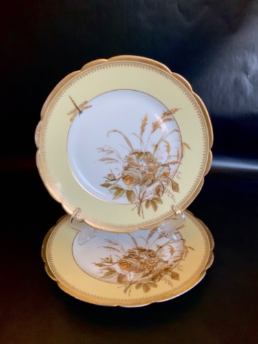 하빌랜드 리모지 공장 데코 플레이트 Haviland Limoges Factory Decorated Plate circa 1876 - 1889