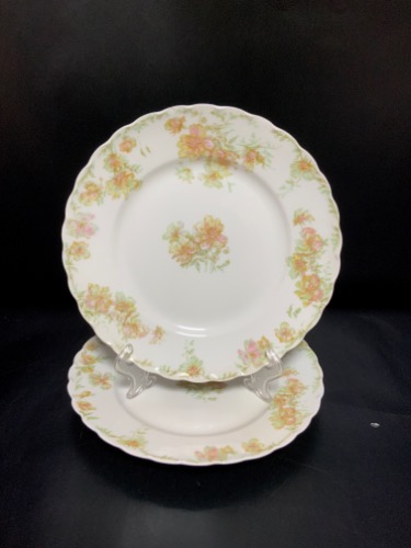 하빌랜드 리모지 셀러드 플레이트 Haviland Limoges Salad Plate circa 1900