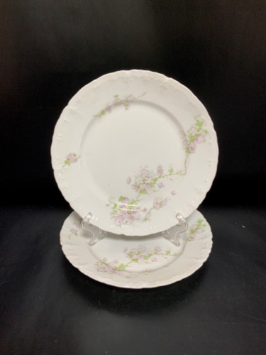 Absburg (오스트리아) 셀러드 플레이트 Absburg (Austria) Salad Plate circa 1890