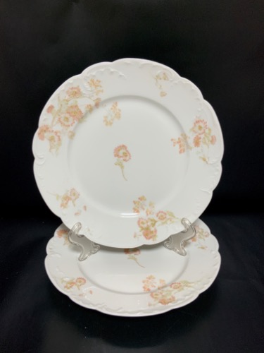 하빌랜드 리모지 디너 플레이트 Haviland Limoges Dinner Plate circa 1900