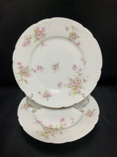 하빌랜드 리모지 디너 플레이트 Haviland Limoges Dinner Plate circa 1900