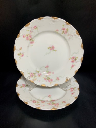 하빌랜드 리모지 디너 플레이트 Haviland Limoges Dinner Plate circa 1903