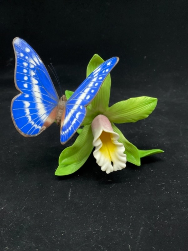 레녹스 “Rain Forest Dazzler&quot; 나비 피겨린 Lenox &quot;Rain Forest Dazzler&quot; Butterfly Figurine 1994