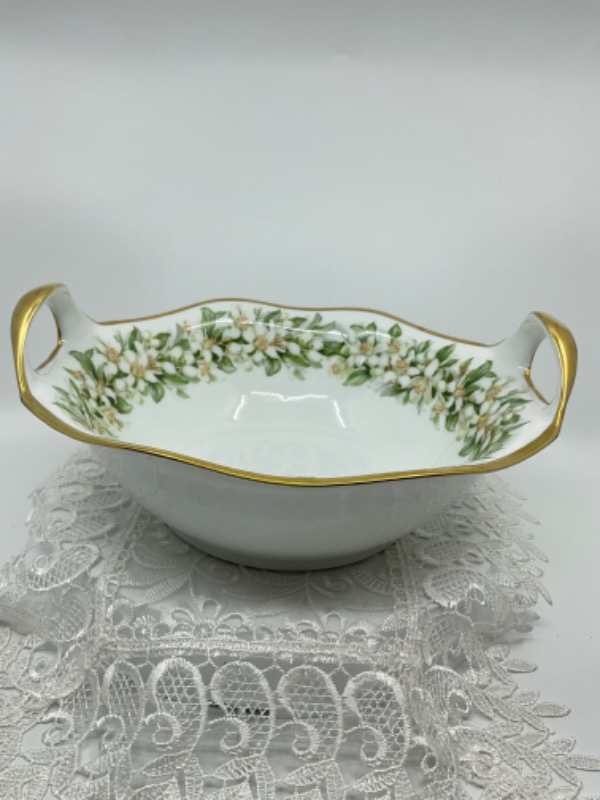 PT 바바리아 핸드페인트 서빙 보울 PT Bavaria Hand Painted Serving Bowl circa 1920