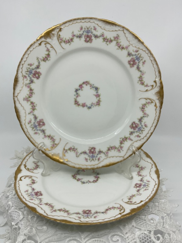 하빌랜드 리모지 디너 플레이트 Haviland Limoges Dinner Plate circa 1900