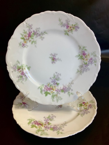 Ahrenfeldt 리모지 디너 플레이트 Ahrenfeldt Limoges Dinner Plate circa 1900