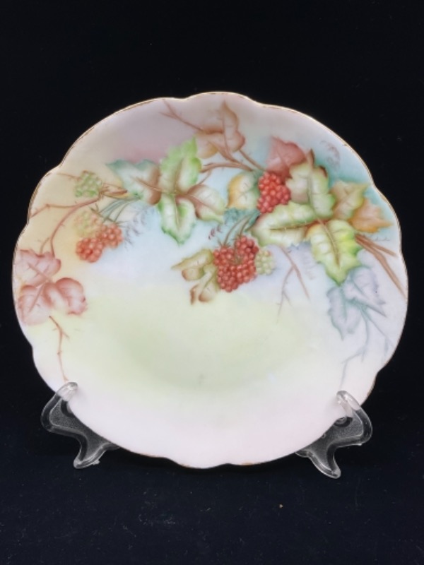 J&amp;C 바바리아 핸드페인트 플레이트 J and C Bavaria Hand Painted Plate circa 1900