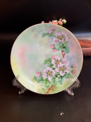 로젠탈 핸드페인트 플레이트 Hand Painted Plate circa 1910