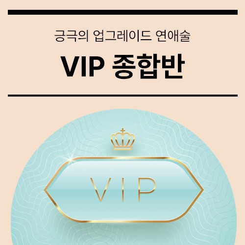 VIP 종합반[메이스 아카데미]