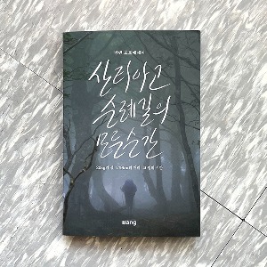 산티아고 순례길의 모든 순간