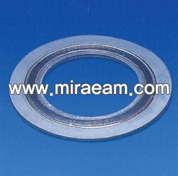 M626/Spiral Wound Gasket