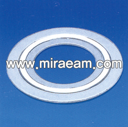 M625/Spiral Wound Gasket