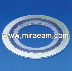 M648/Spiral Wound Gasket