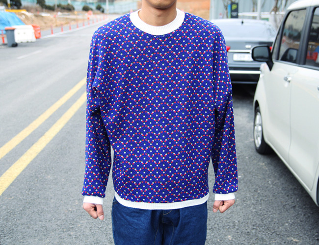 galaxy ray knit [ 2color / free size ] 갤럭시 가오리 니트