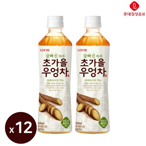 롯데 초가을우엉차 500ml 12입