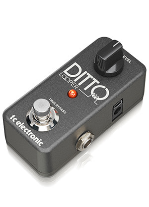 TC Electronic Ditto Looper 티씨일렉트로닉 디토 루퍼 (국내정식수입품)