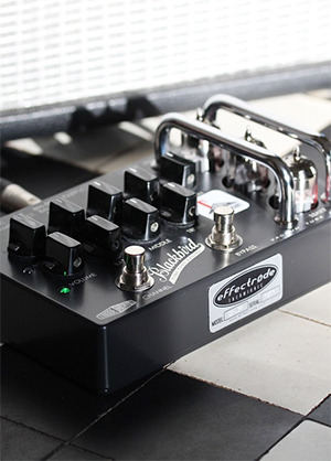 [주문제작상품] Effectrode Blackbird Vacuum Tube Preamp 이펙트로드 블랙버드 진공관 프리앰프 (국내정식수입품)