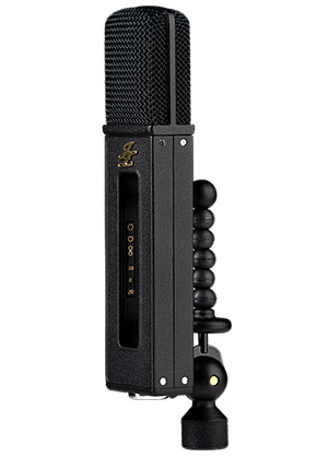 JZ Microphones Black Hole BH1s 제트지마이크로폰스 블랙홀 원에스 멀티 패턴 콘덴서 마이크 (국내정식수입품)